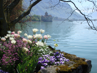 Fotowettbewerb_Promenade am Genfersee - Montreaux Vebey-LG